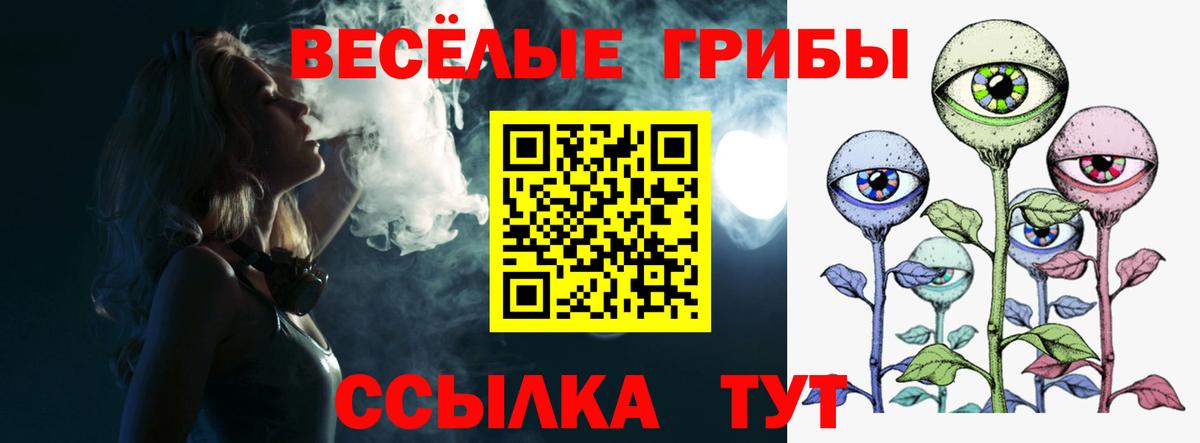 Псилоцибиновые грибы Psilocybine cubensis  Псилоцибиновые грибы мухоморы  Заводоуковск  Вход с VPN 